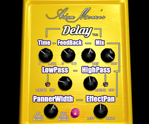 Adam Monroe Delay