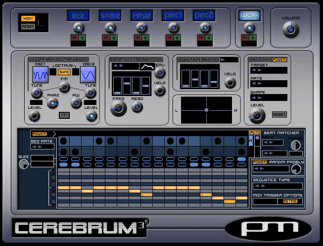 Cerebrum