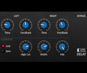 DD Delay