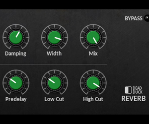 DD Reverb
