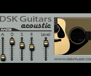 DSK Guitars Acoustic