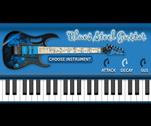 FS Blues Steel Guitar