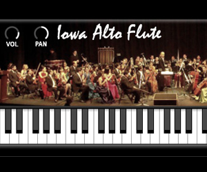 Iowa Alto Flute