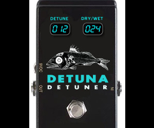 Detuna