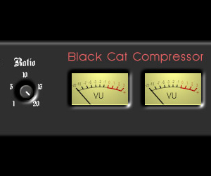 Black Cat