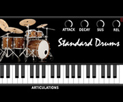 Musyng Kite Standard Drums