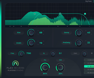 Flex Reverb