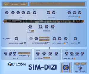 SIM-DIZI