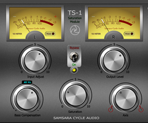 TS-1