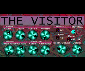 The Visitor