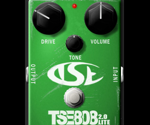 TSE808