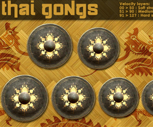 Thai Gongs