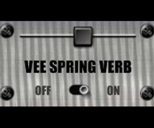 VeeSpringVerb