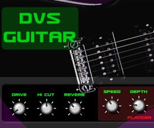 DVS Guitar