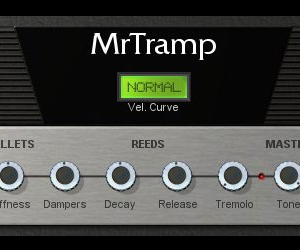 Mr Tramp