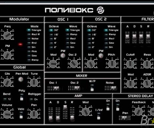 Polyvoks