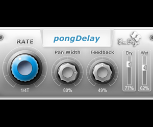 pongDelay