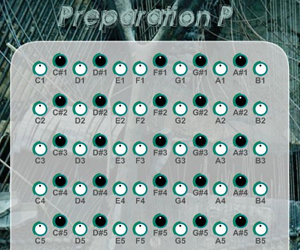 Preparation P